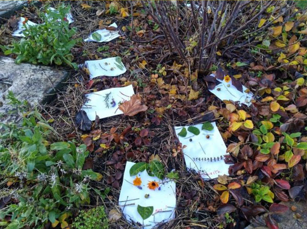 st-michaels-busy-bees-gardening-club-blog-2a