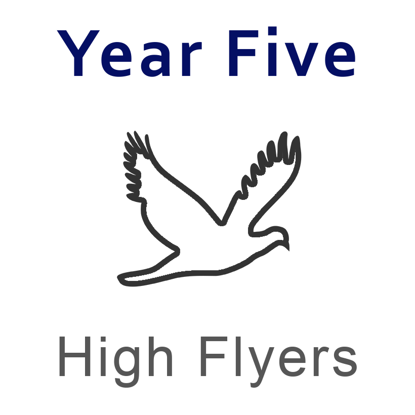 View the High Flyers Year 5 Class page